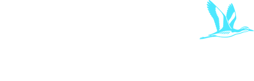 Curlew. Marketing, around the clock.